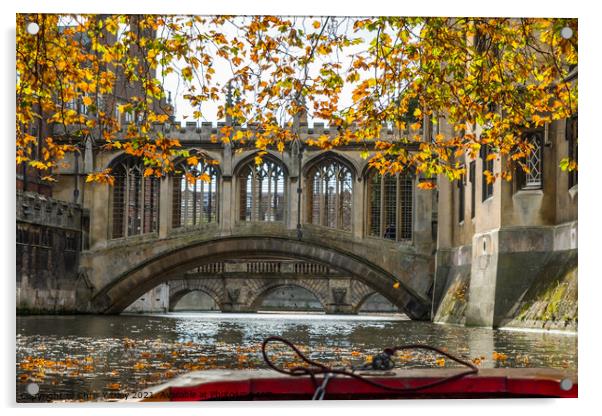 Bridge of Sighs captured from the River Cam Acrylic by Chris Yaxley