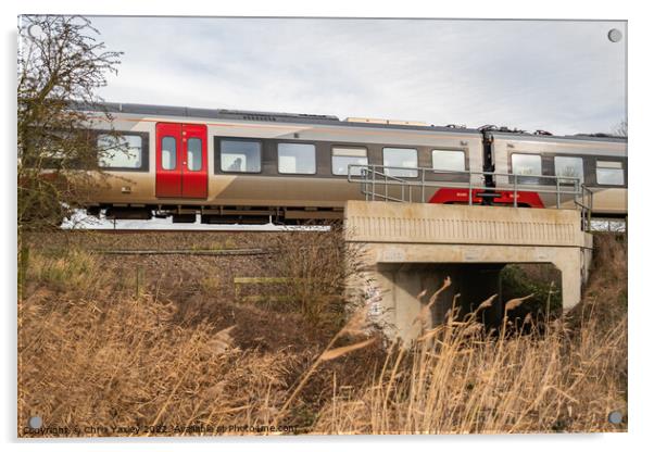 Rural railway, Norfolk Acrylic by Chris Yaxley