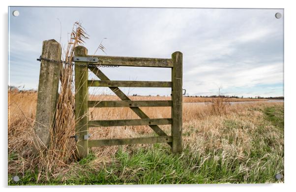 Rural gate, Norfolk Acrylic by Chris Yaxley