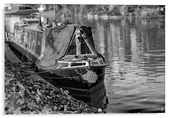 Traditional narrow boat moored on the River Cam in Jesus Green, Cambridge Acrylic by Chris Yaxley