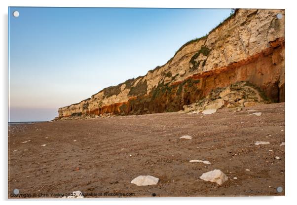 North Norfolk Red & White cliffs Acrylic by Chris Yaxley