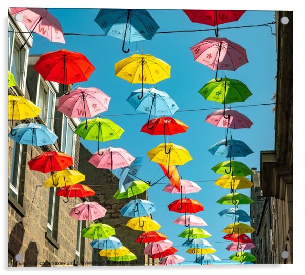 Colourful umbrellas in Aberdeen Acrylic by Chris Yaxley