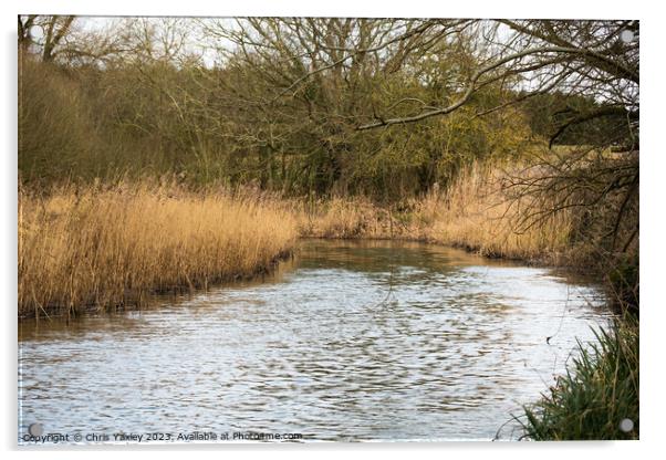 Rural river, Norfolk Broads Acrylic by Chris Yaxley