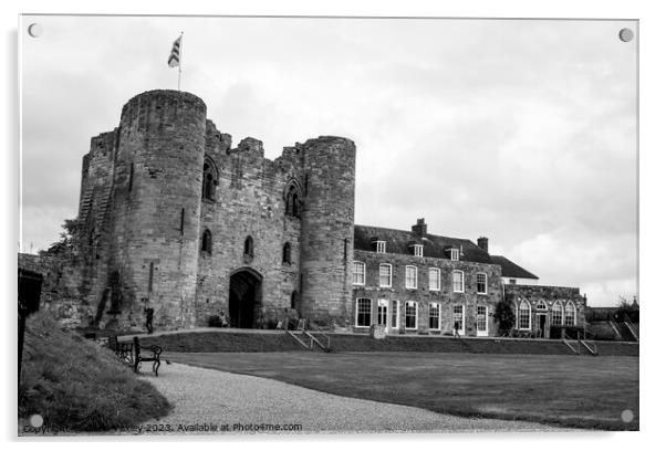 Tonbridge Castle, Kent Acrylic by Chris Yaxley