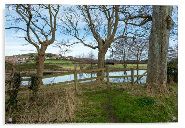 Pond of the priory of St Mary in the Meadow Acrylic by Chris Yaxley