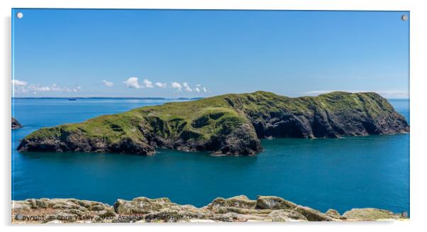 The island of Ynys Bery on the Welsh coast Acrylic by Chris Yaxley