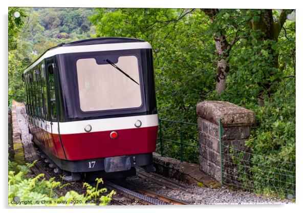 Mount Snowdon Railway, Llanberis, North Wales Acrylic by Chris Yaxley