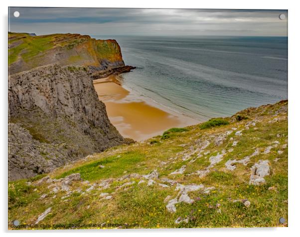 A view of Mewslade Bay on the South Welsh coast fr Acrylic by Chris Yaxley