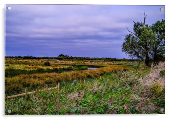 South Walsham marshes, Norfolk Acrylic by Chris Yaxley