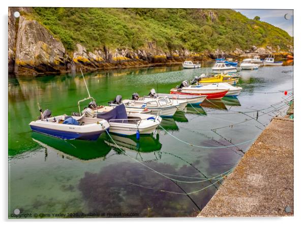 Porthclais Harbour Acrylic by Chris Yaxley