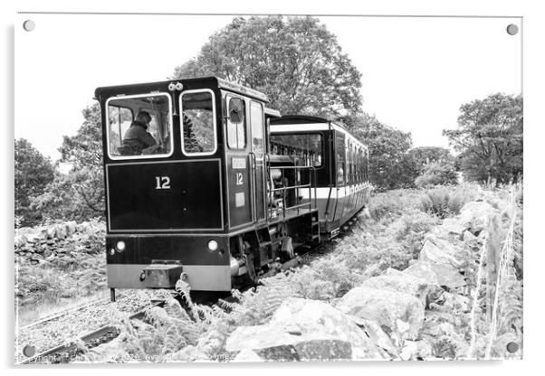 Diesel train on Mount Snowdon Railway, Llanberis, North Wales Acrylic by Chris Yaxley