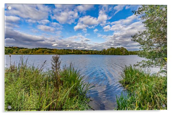 A peaceful day on at Whitlingham Broad, Norwich Acrylic by Chris Yaxley