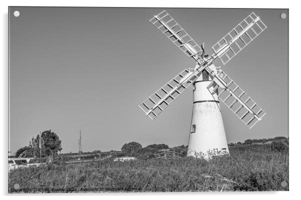 Thurne Mill, Norfolk Acrylic by Chris Yaxley