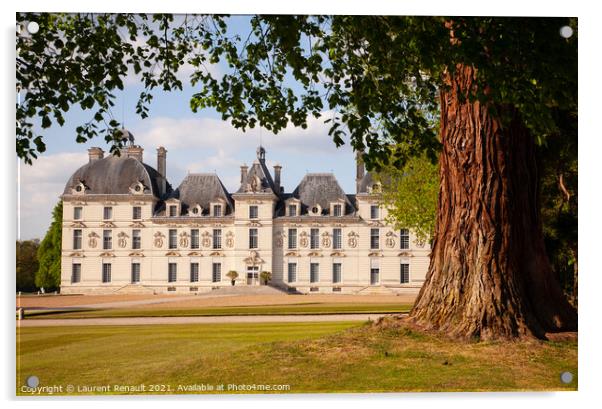 Castles of Loire valley - elegant Cheverny Acrylic by Laurent Renault