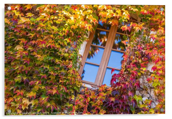 Window surrounded by ivy with autumn facade Acrylic by Laurent Renault