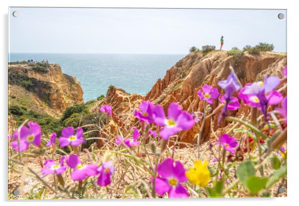 Cliffs and nature, Praia da Marinha, Algarve, Portugal Acrylic by Laurent Renault