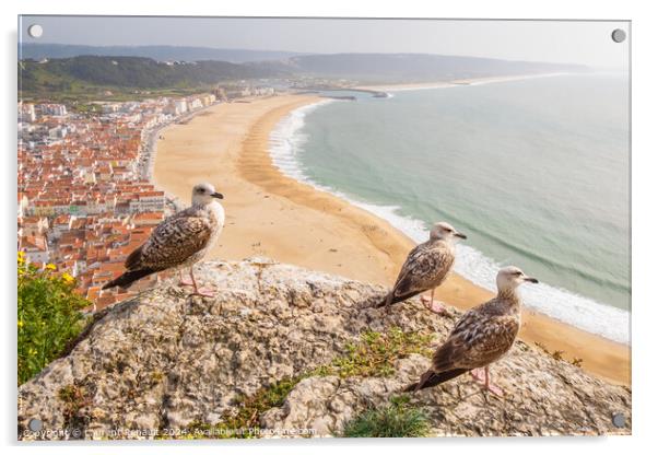 Aerial view of  Nazaré town observed by yellow-legged gulls in  Acrylic by Laurent Renault