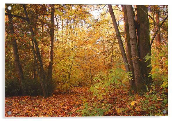 Autumnal Acrylic by Robert Gillespie