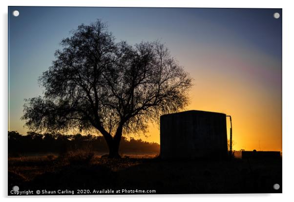 Australian Bush Sunrise Acrylic by Shaun Carling