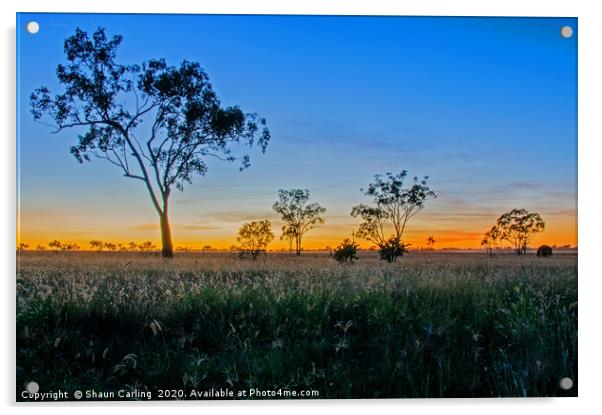 Sunrise At Roma, Australia Acrylic by Shaun Carling