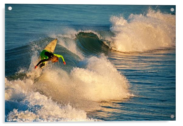 Aussie Surfer Acrylic by Shaun Carling