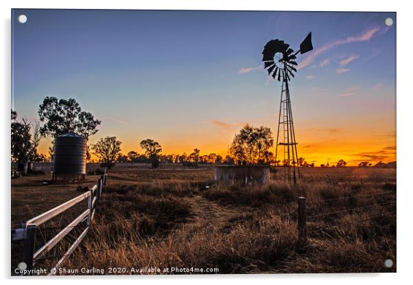 Outback Sunrise Acrylic by Shaun Carling
