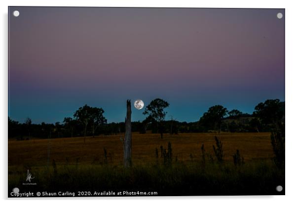 Moonrise Out At Boonah Acrylic by Shaun Carling