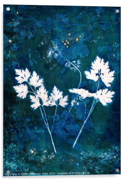 Parsley Leaves Acrylic by Eileen Wilkinson ARPS EFIAP