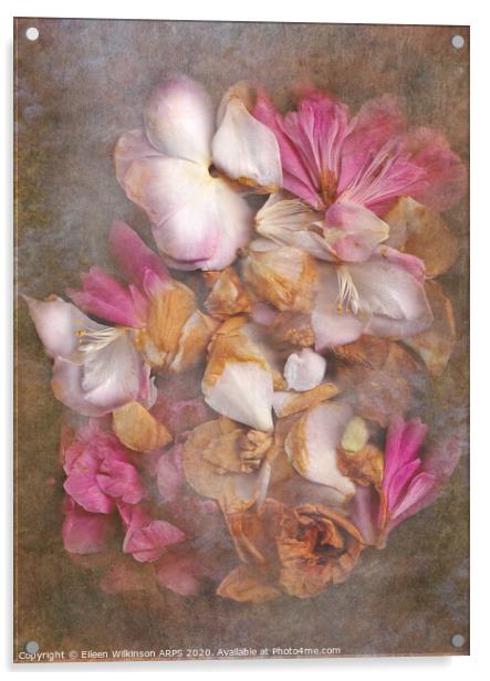 Fallen petals Acrylic by Eileen Wilkinson ARPS EFIAP