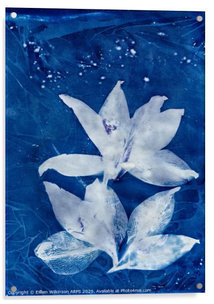 Blue Day Lillies Acrylic by Eileen Wilkinson ARPS EFIAP