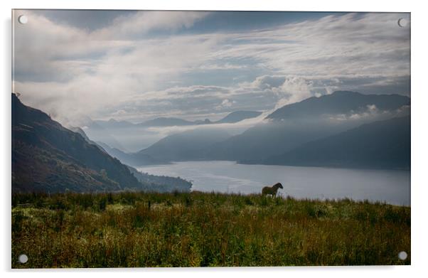 Carr Brae viewpoint across Loch Duich Acrylic by Eileen Wilkinson ARPS EFIAP