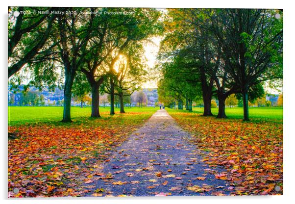 The South Inch, Perth in Autumn Acrylic by Navin Mistry