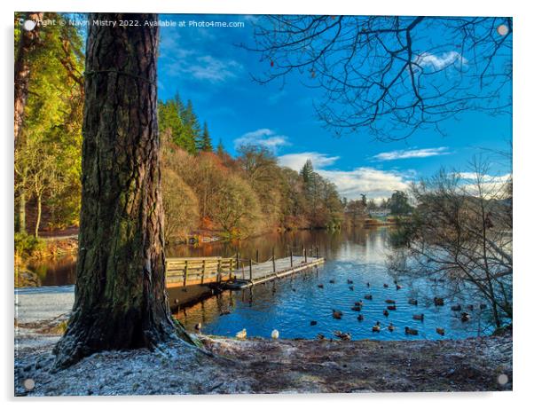 A view of Loch Faskally, Pitlochry Acrylic by Navin Mistry
