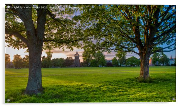 Evening Light on the South Inch, Perth Acrylic by Navin Mistry