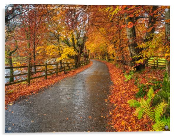 Autumn and the Road through Glen Lyon Acrylic by Navin Mistry