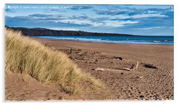St. Cyrus Beach, Aberdeenshire, Scotland Acrylic by Navin Mistry