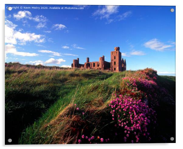 Slains Castle, Aberdeenshire with sea thrift  Acrylic by Navin Mistry