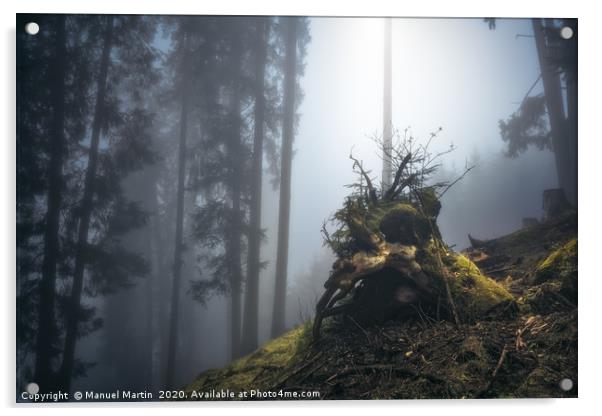 Tree stump in fog Acrylic by Manuel Martin