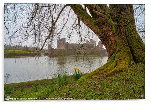 Caerphilly Castle Acrylic by Gordon Maclaren