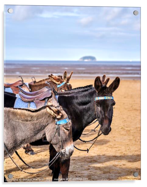 Donkeys, Weston-super-Mare Acrylic by Gordon Maclaren