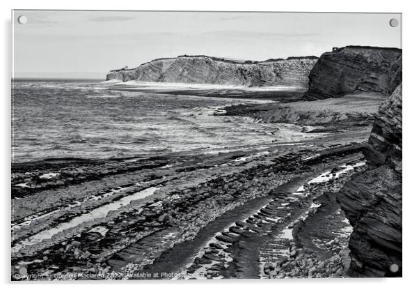 Kilve Beach Somerset Monochrome Acrylic by Gordon Maclaren