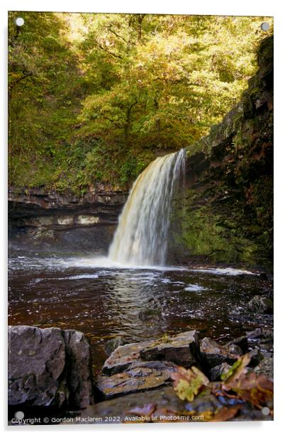Autumn at Sgwd Gwladys waterfall, Pontneddfechan Acrylic by Gordon Maclaren