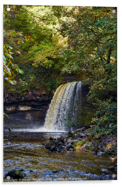 Autumn at Sgwd Gwladys waterfall, Pontneddfechan Acrylic by Gordon Maclaren