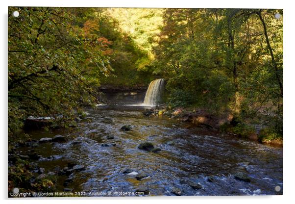 Autumn at Sgwd Gwladys waterfall, Pontneddfechan Acrylic by Gordon Maclaren
