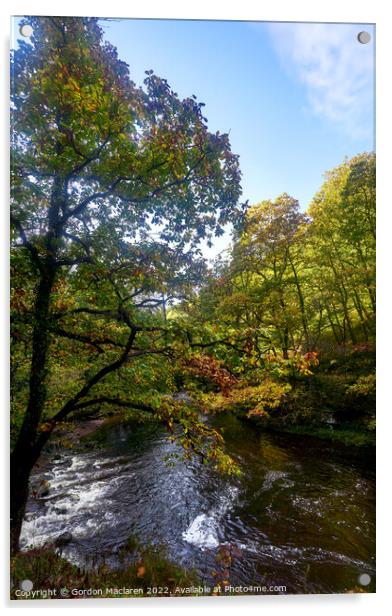 Autumn, Afon Pyrddin, Pontneddfechan, Neath, South Wales Acrylic by Gordon Maclaren