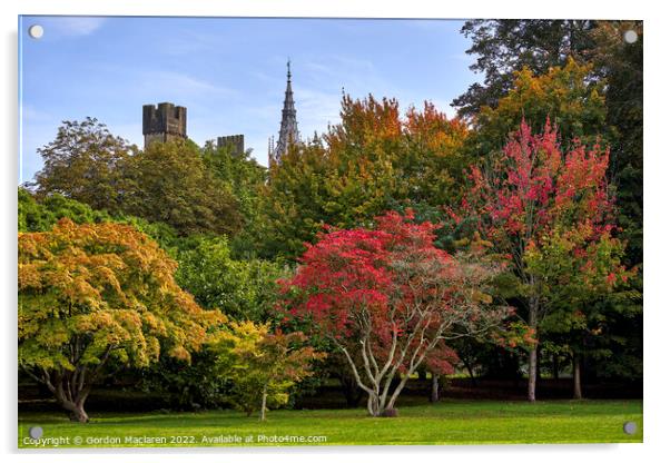 Cardiff Castle in Autumn from Bute Park, South Wal Acrylic by Gordon Maclaren