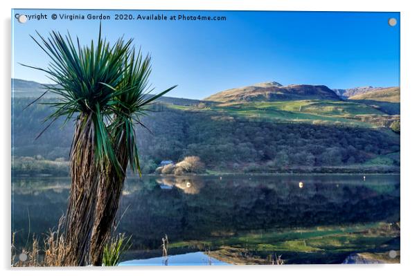 Tal-y-llyn Lake Acrylic by Gordon Maclaren