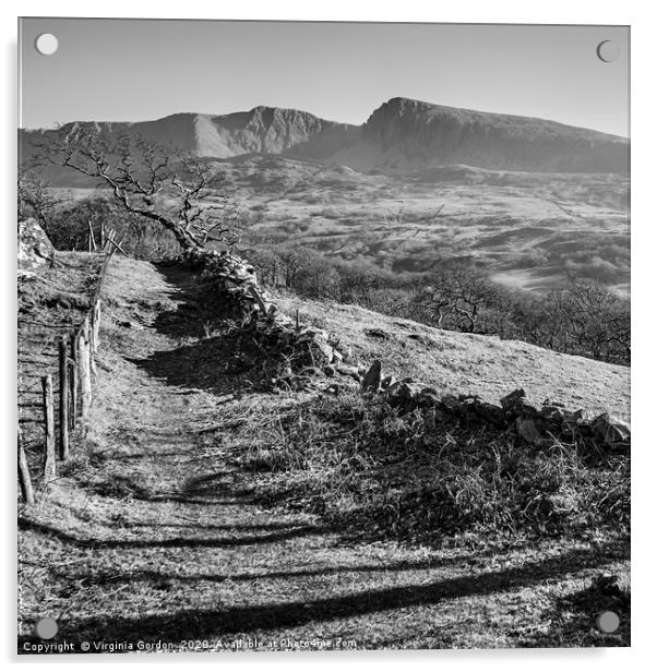 Cadair Idris B&W Acrylic by Gordon Maclaren