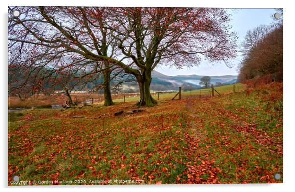 Autumn on the banks of Talybont Reservoir Acrylic by Gordon Maclaren