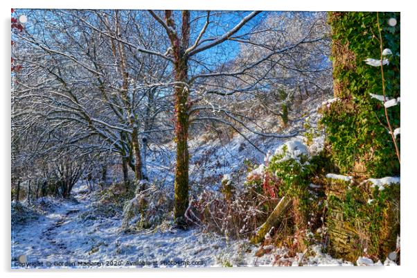 Winter Woodland Scene Acrylic by Gordon Maclaren
